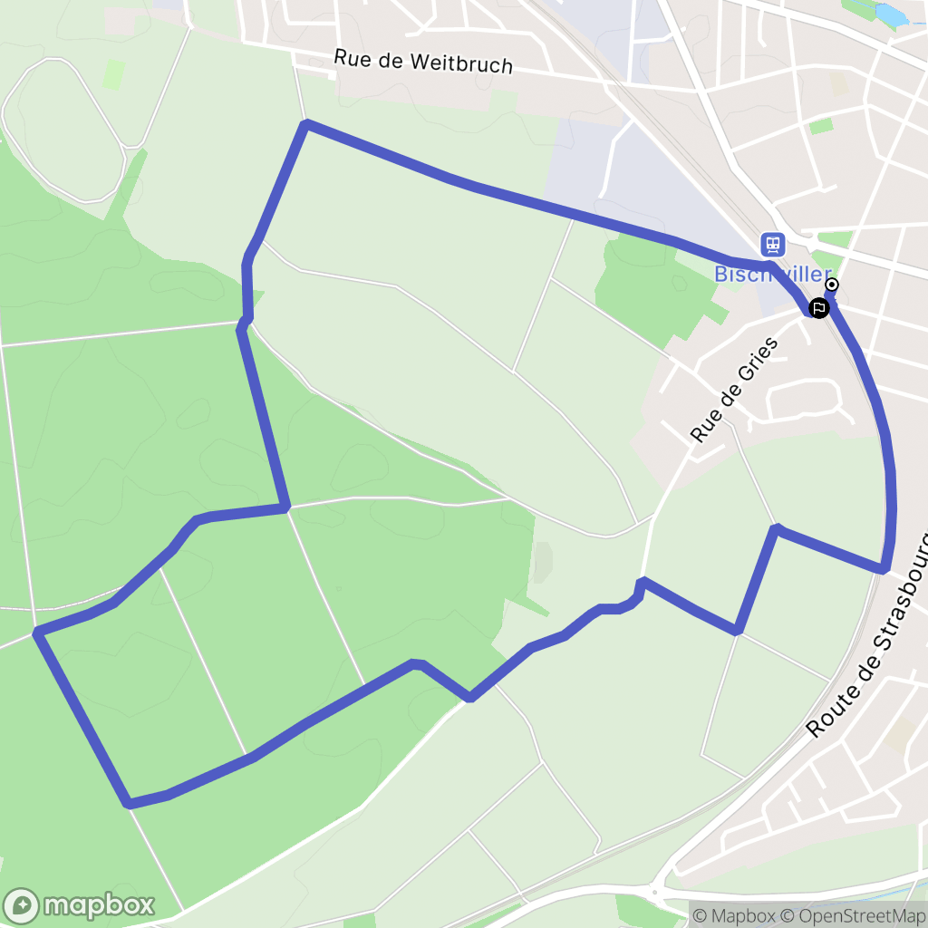 Bischwiller : carte du parcours de randonnée - France