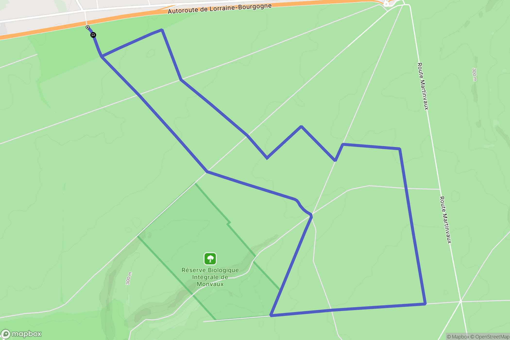 Bois-de-Haye: routekaart voor buitenactiviteiten - France