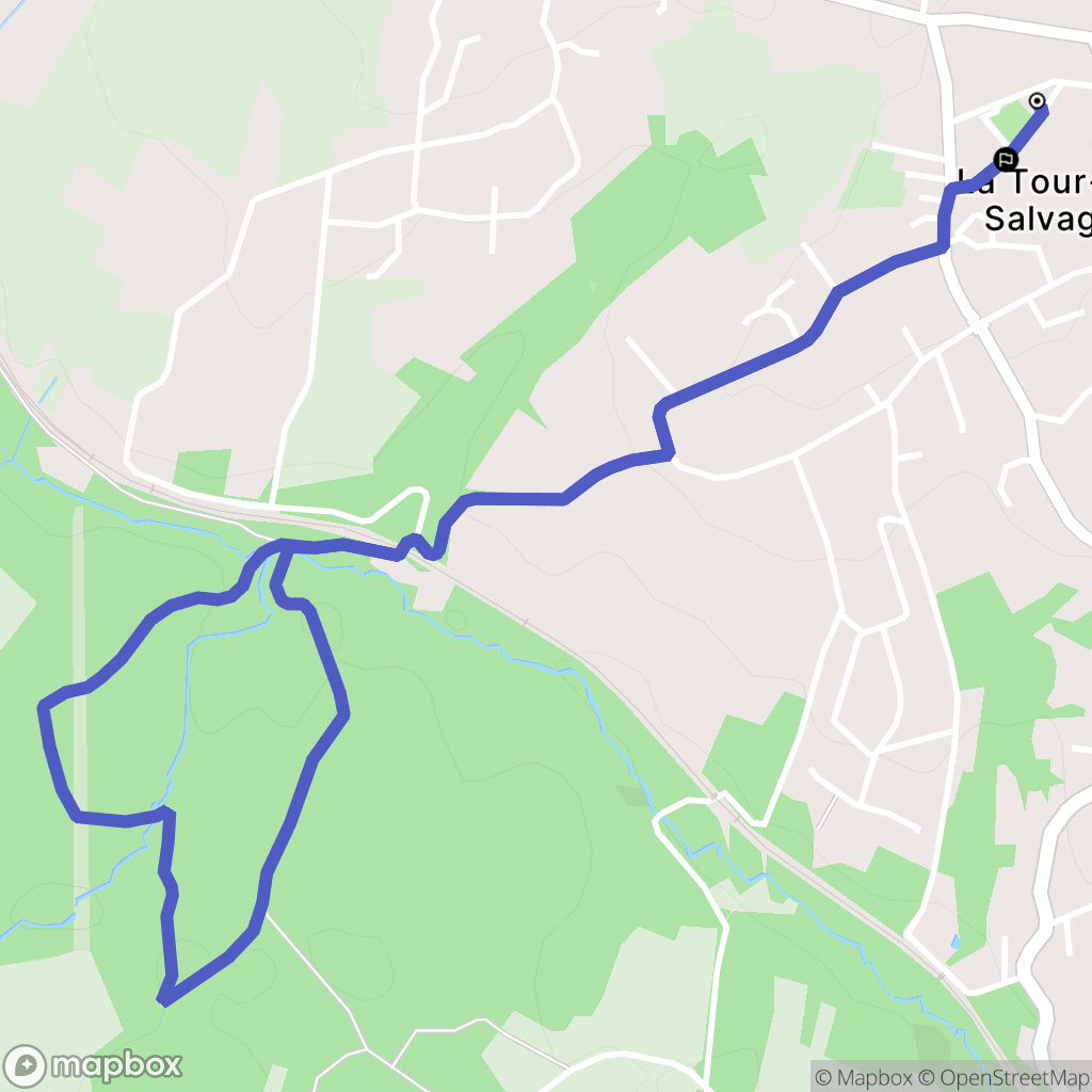 La Tour-de-Salvagny : carte du parcours de randonnée - France