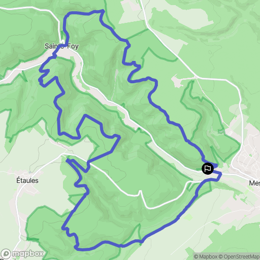 Messigny-et-Vantoux : carte du parcours de randonnée - France