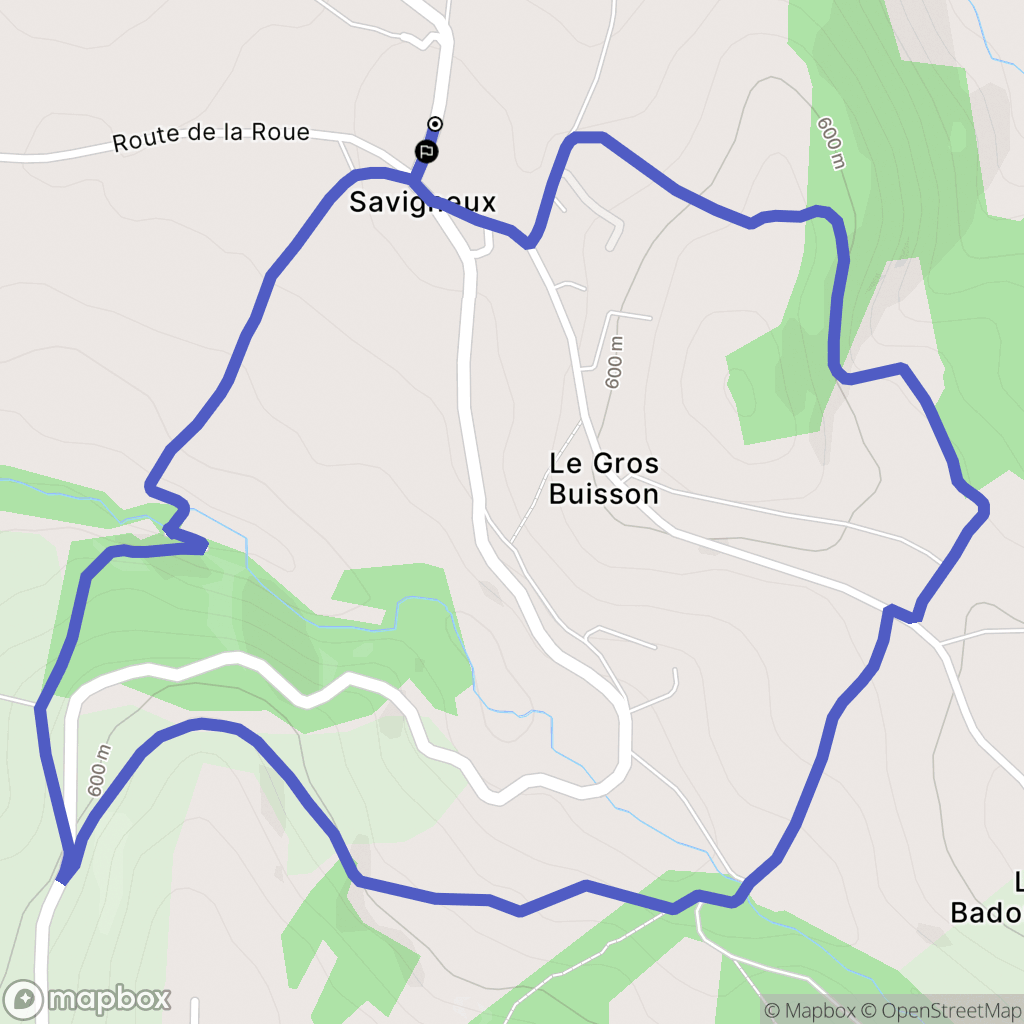 Saint Denis sur Coise : carte du parcours de randonnée - France