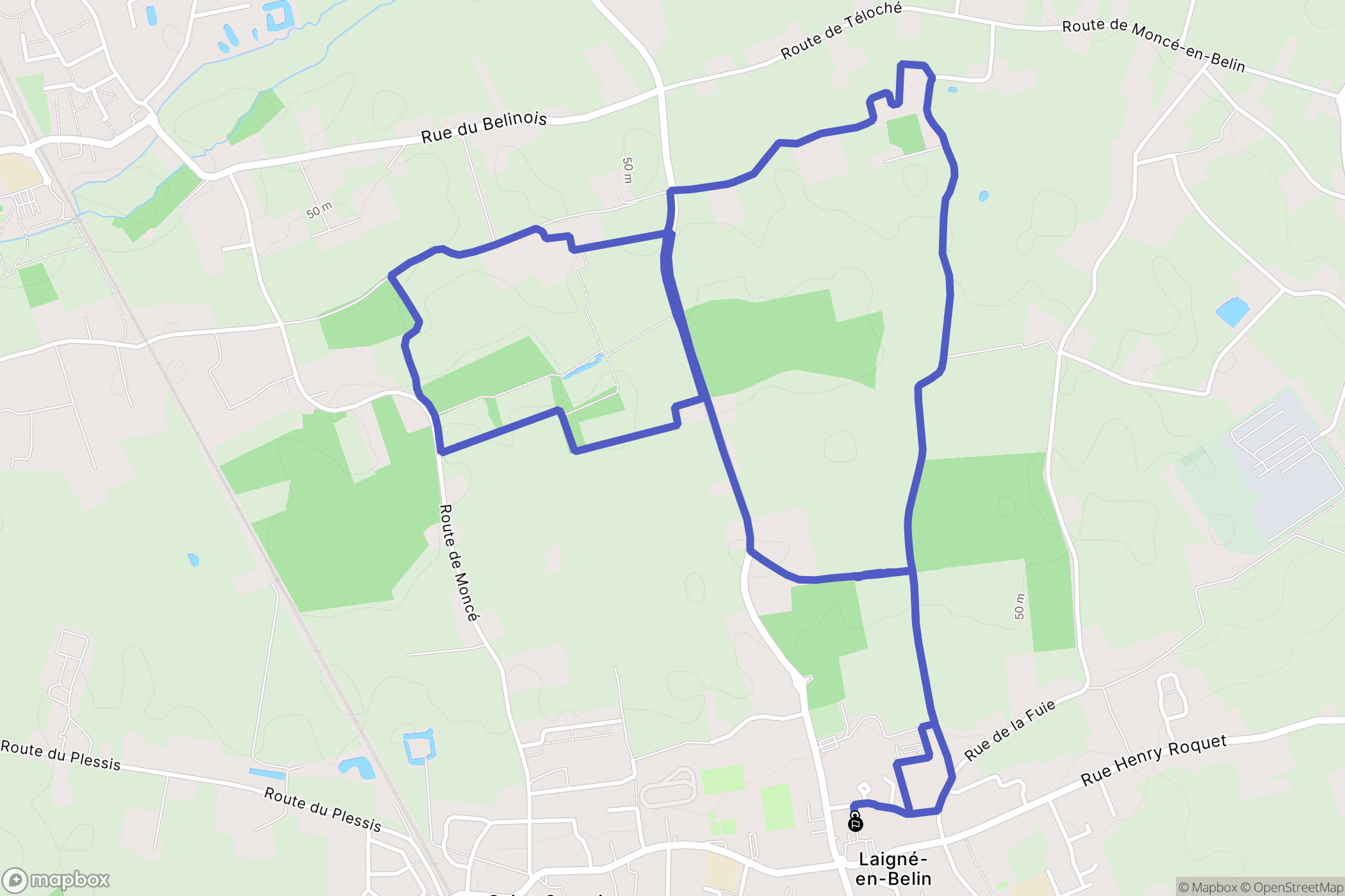 Laigné-en-Belin : carte du parcours de randonnée - France
