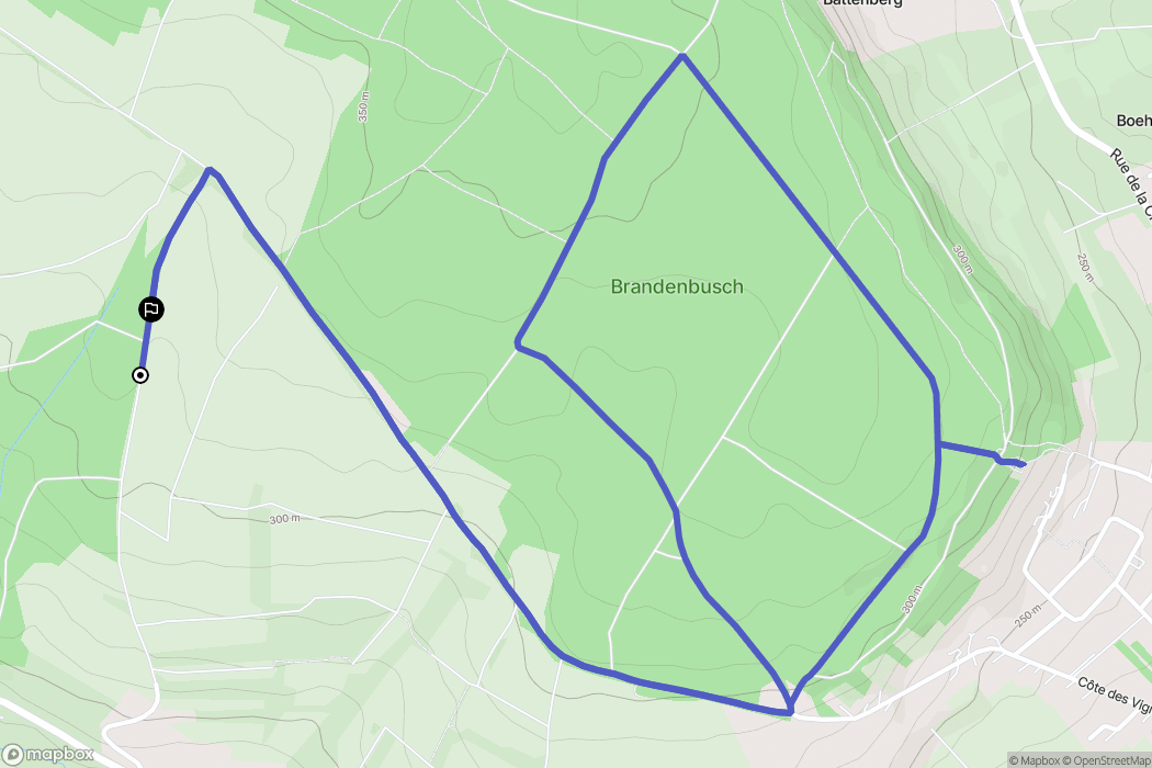 Lixing-lès-Rouhling : carte du parcours de randonnée - France