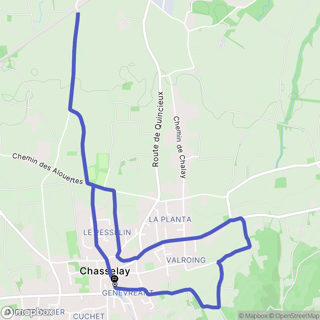Chasselay : carte du parcours de randonnée - France