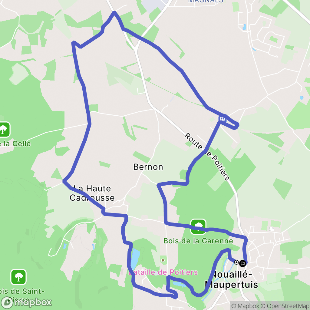 Nouaillé-Maupertuis : carte du parcours de randonnée - France