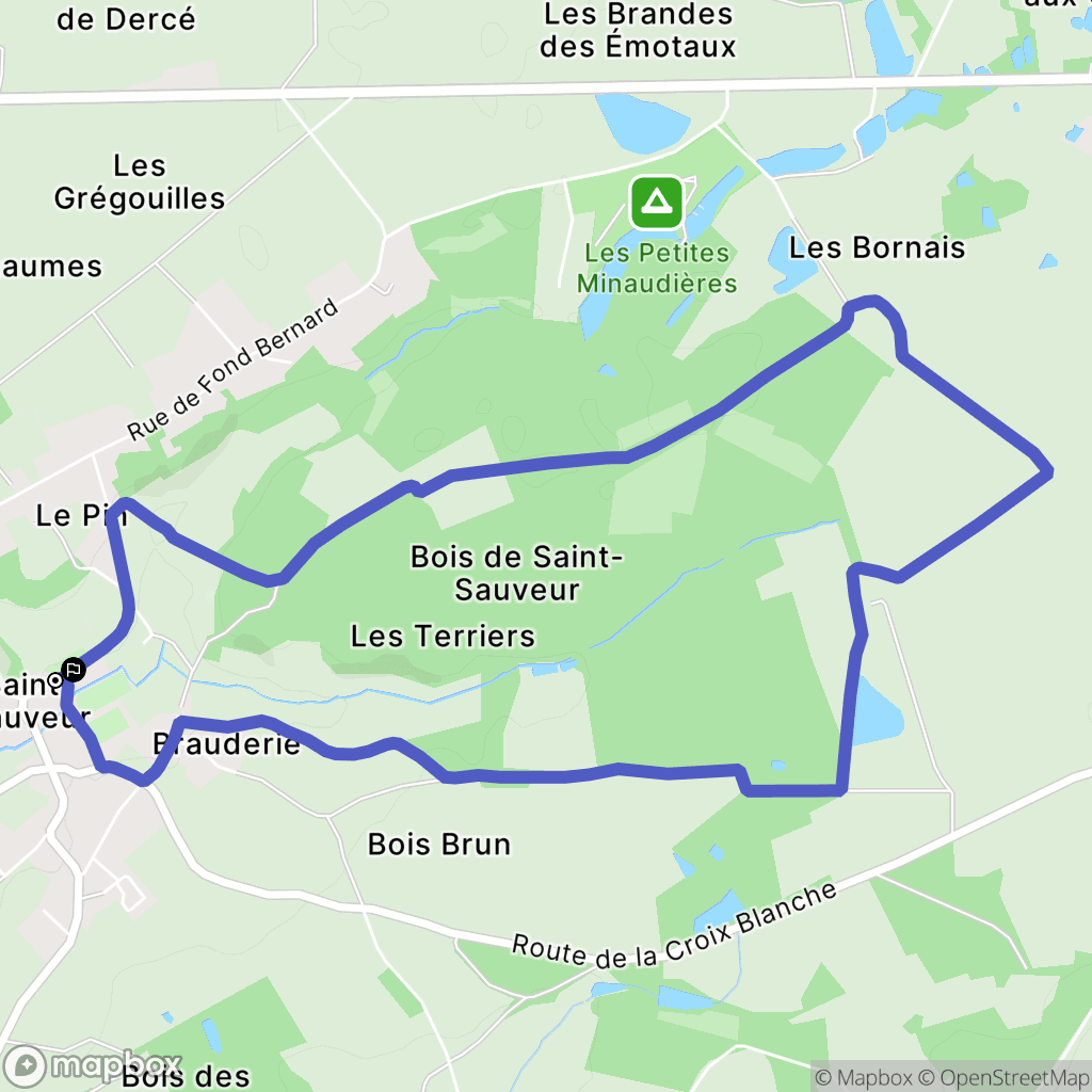Senillé-Saint-Sauveur : carte du parcours de randonnée - France