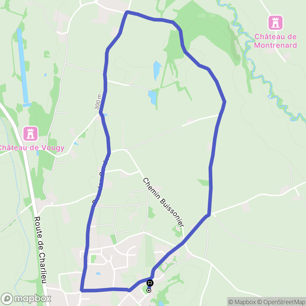 Vougy : carte du parcours de randonnée - France