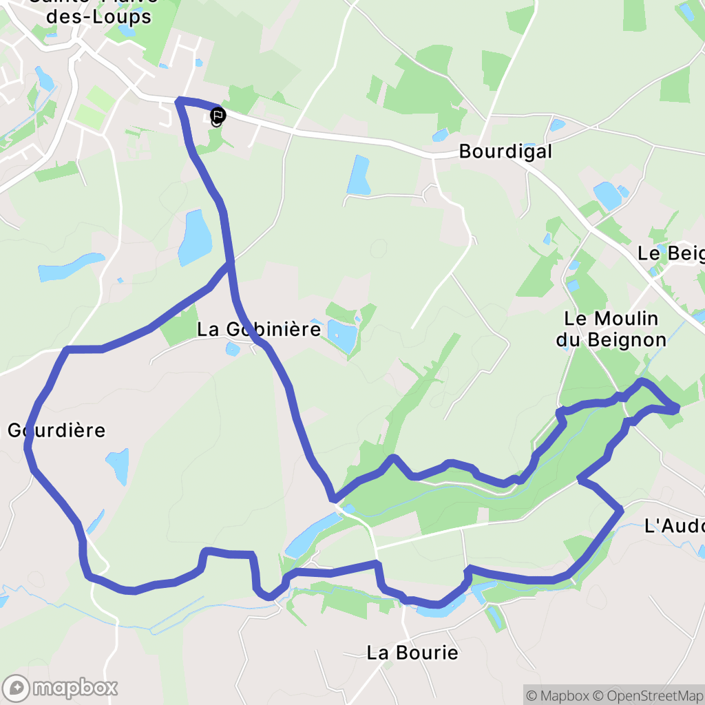 Sainte-Flaive-des-Loups : carte du parcours de randonnée - France