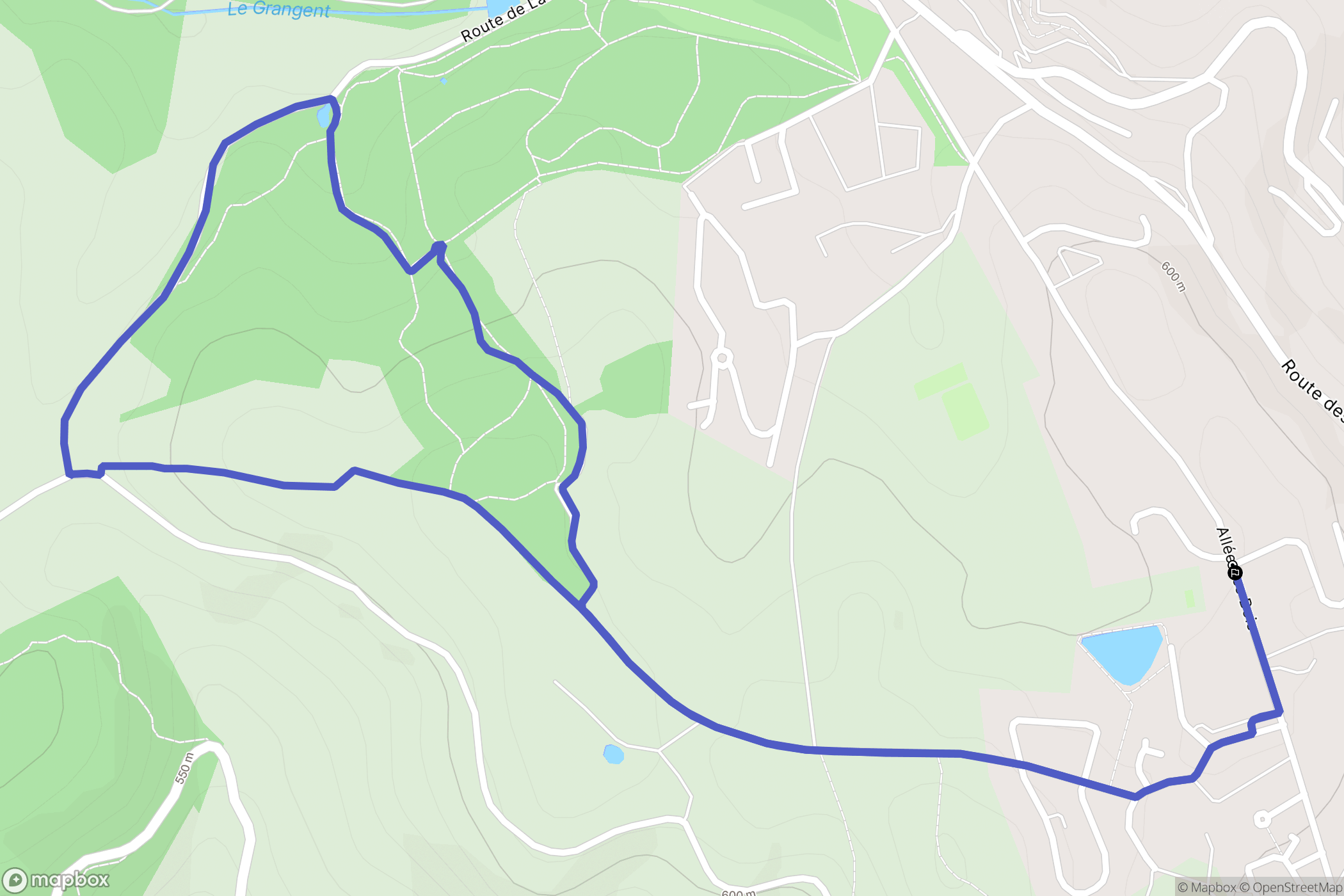 Saint-Genest-Lerpt : carte du parcours de randonnée - France