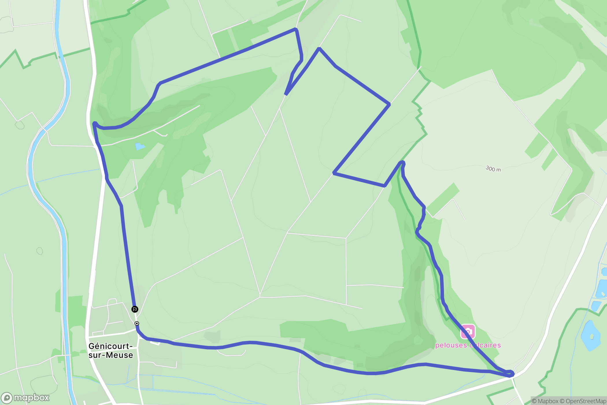 Génicourt-sur-Meuse : carte du parcours de randonnée - France