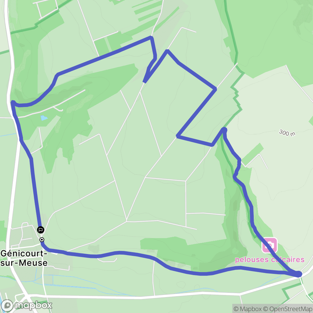 Génicourt-sur-Meuse : carte du parcours de randonnée - France