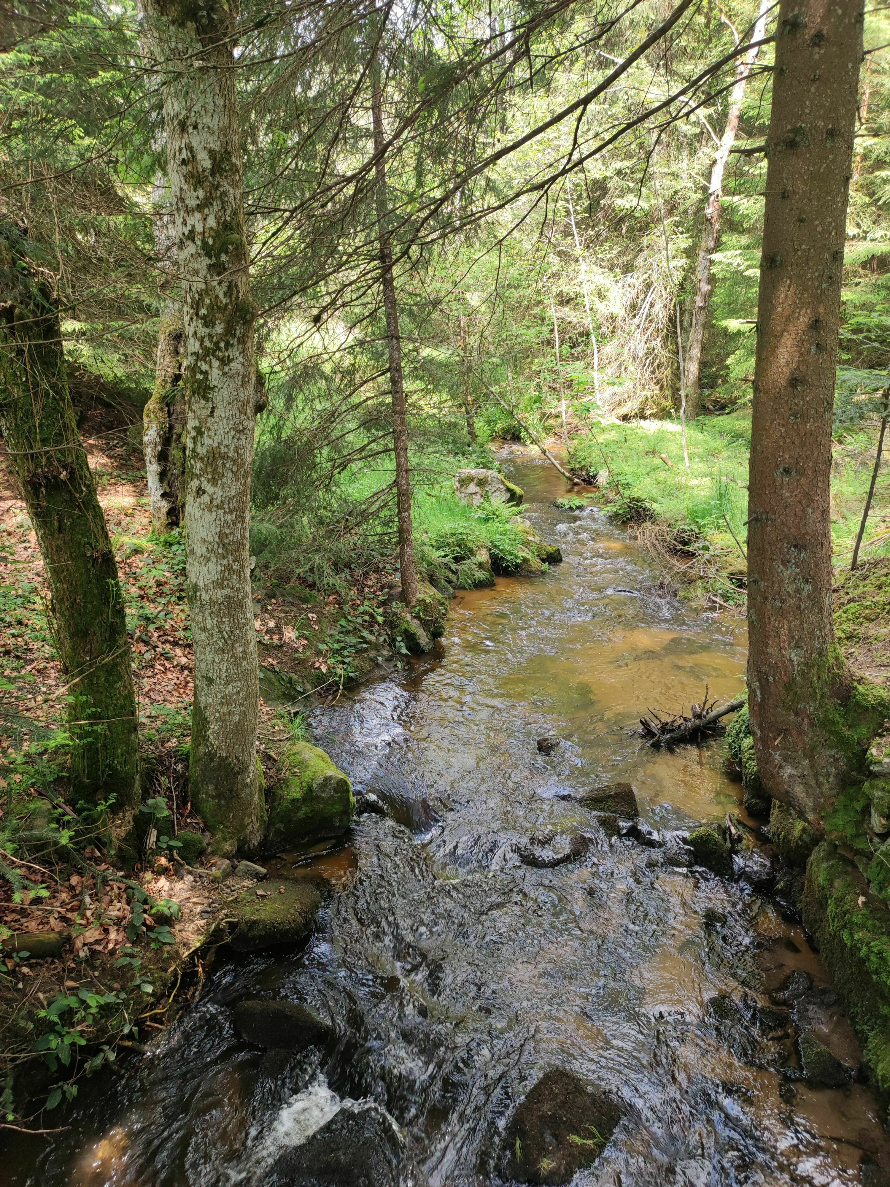 La randonnée aux mille ruisseaux, image size:3000x4000