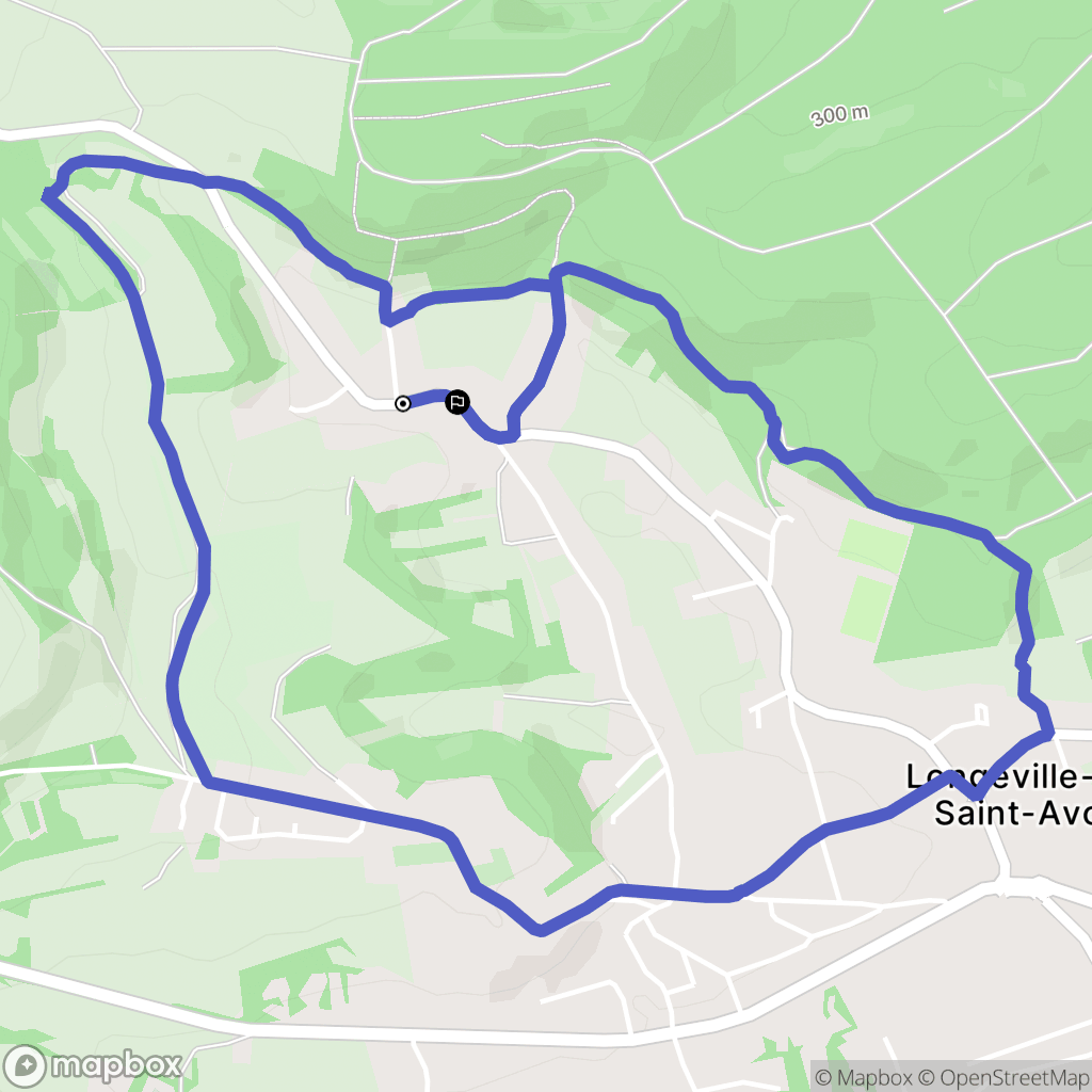 Longeville-lès-Saint-Avold : carte du parcours de randonnée - France