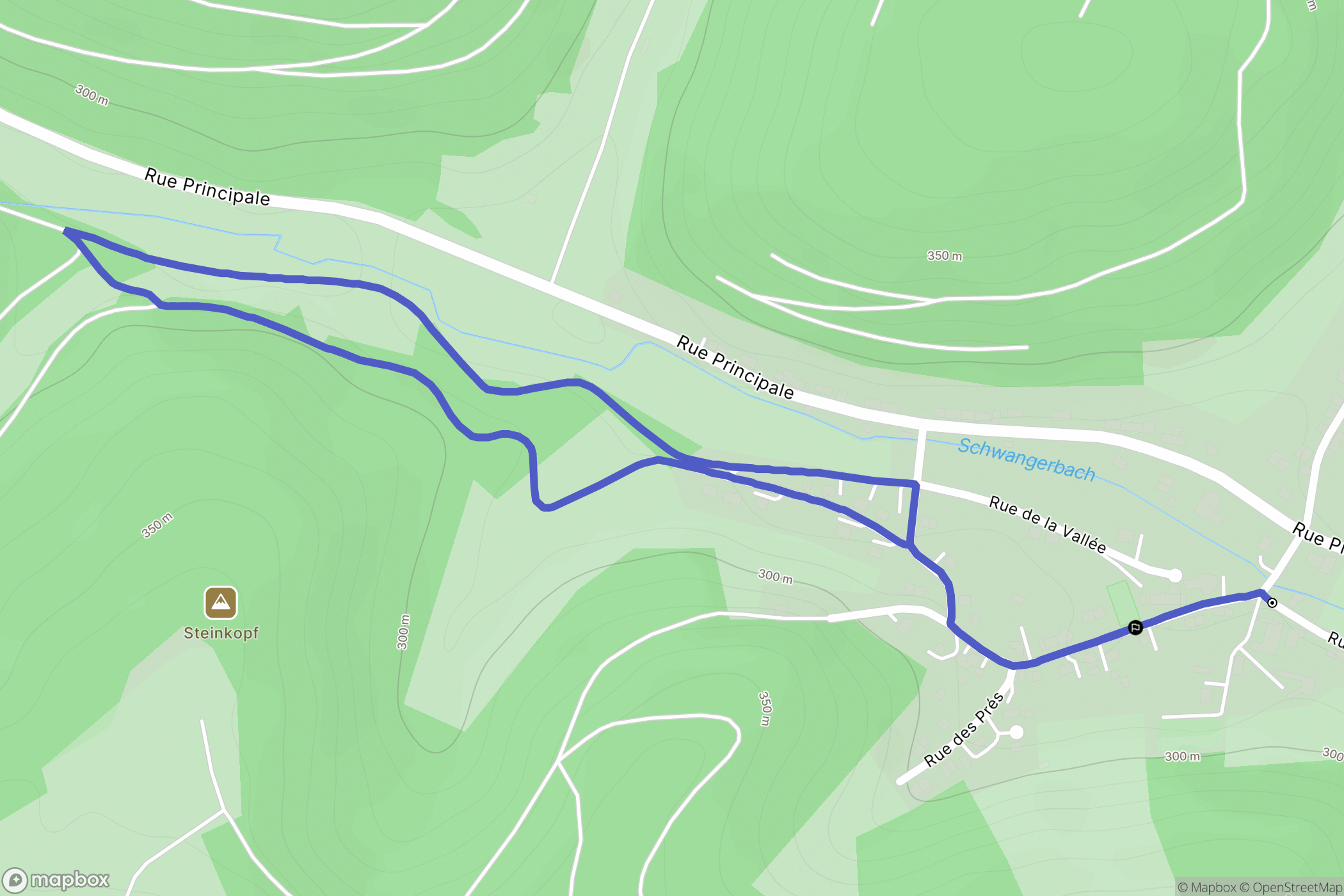 Reyersviller : carte du parcours de randonnée - France