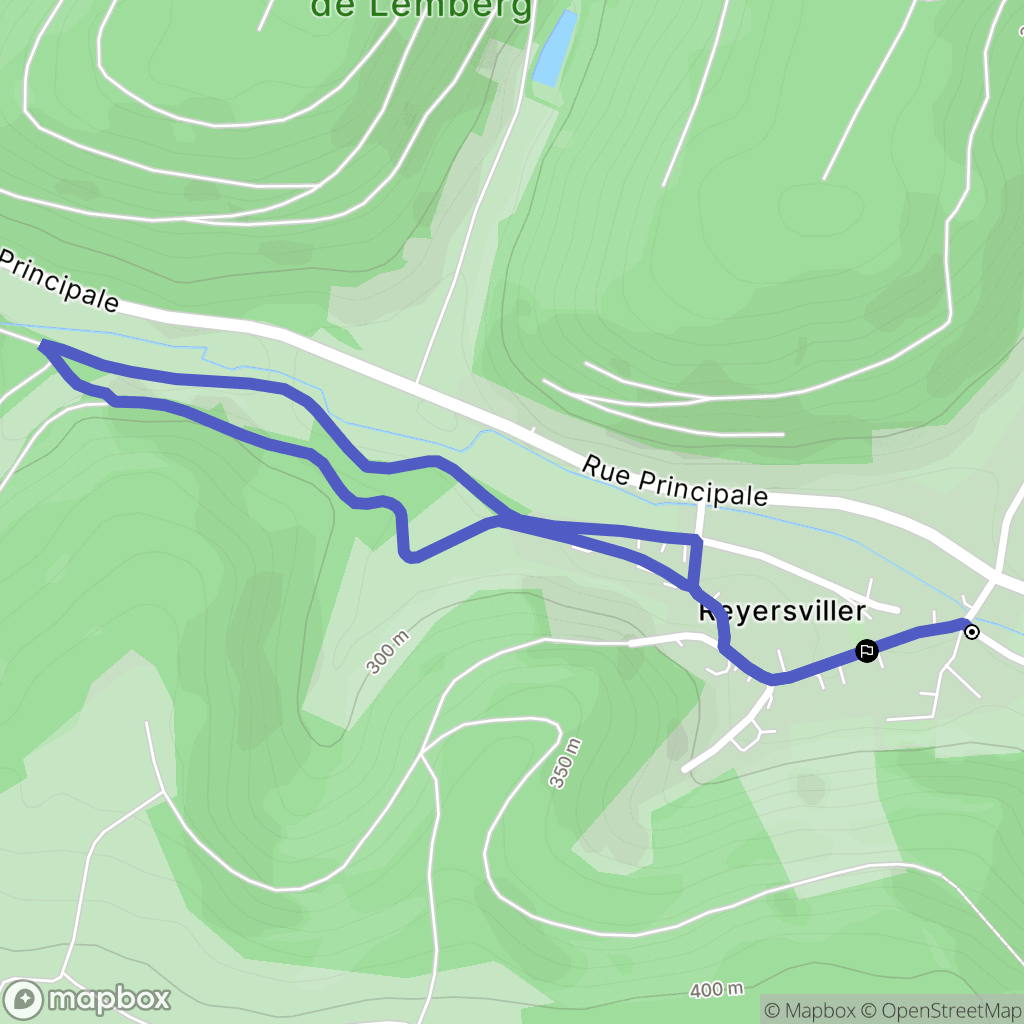 Reyersviller : carte du parcours de randonnée - France