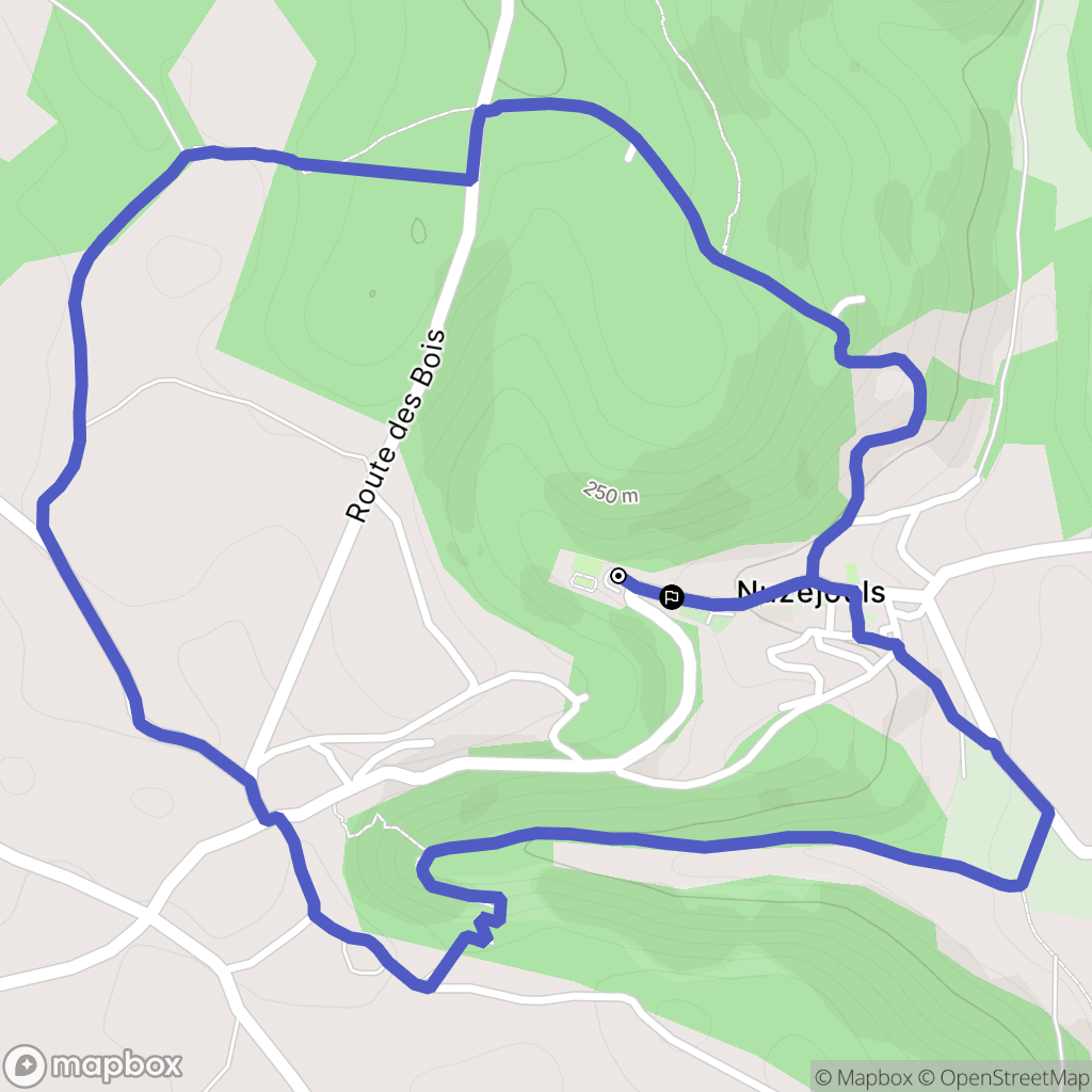 Nuzéjouls : carte du parcours de randonnée - France