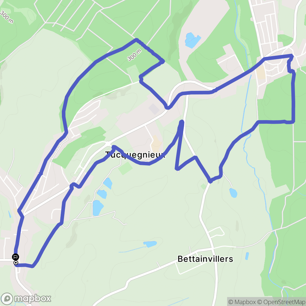 Tucquegnieux : carte du parcours de randonnée - France