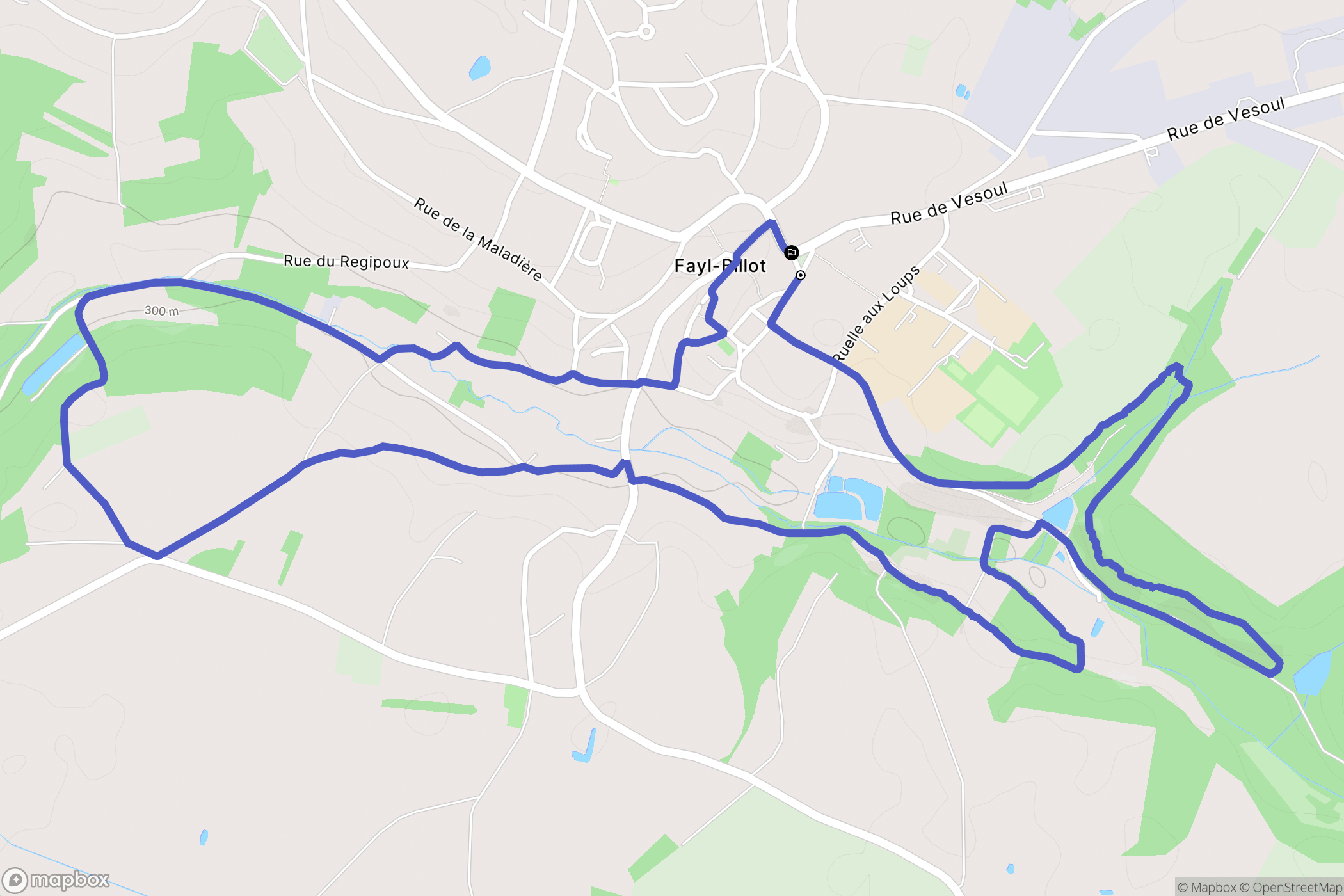 Fayl-Billot : carte du parcours de randonnée - France