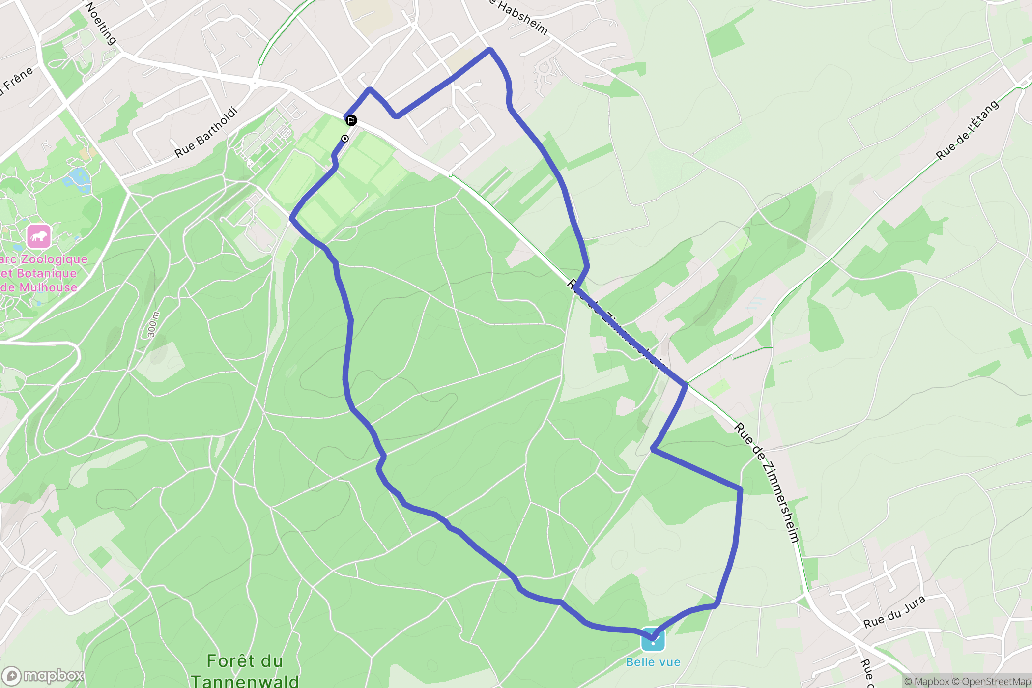 Riedisheim : carte du parcours de randonnée - France
