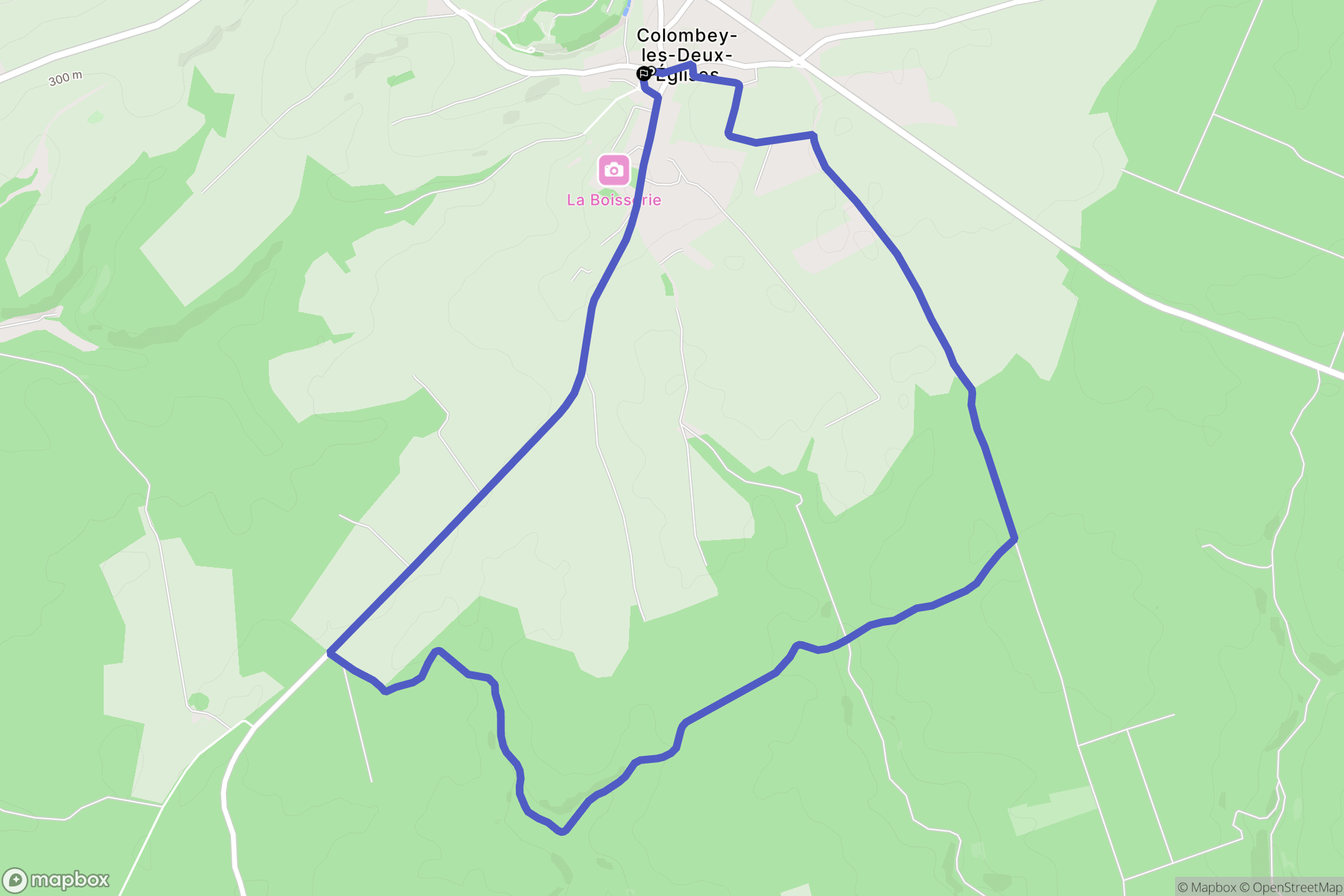 Colombey-les-Deux-Églises : carte du parcours de randonnée - France
