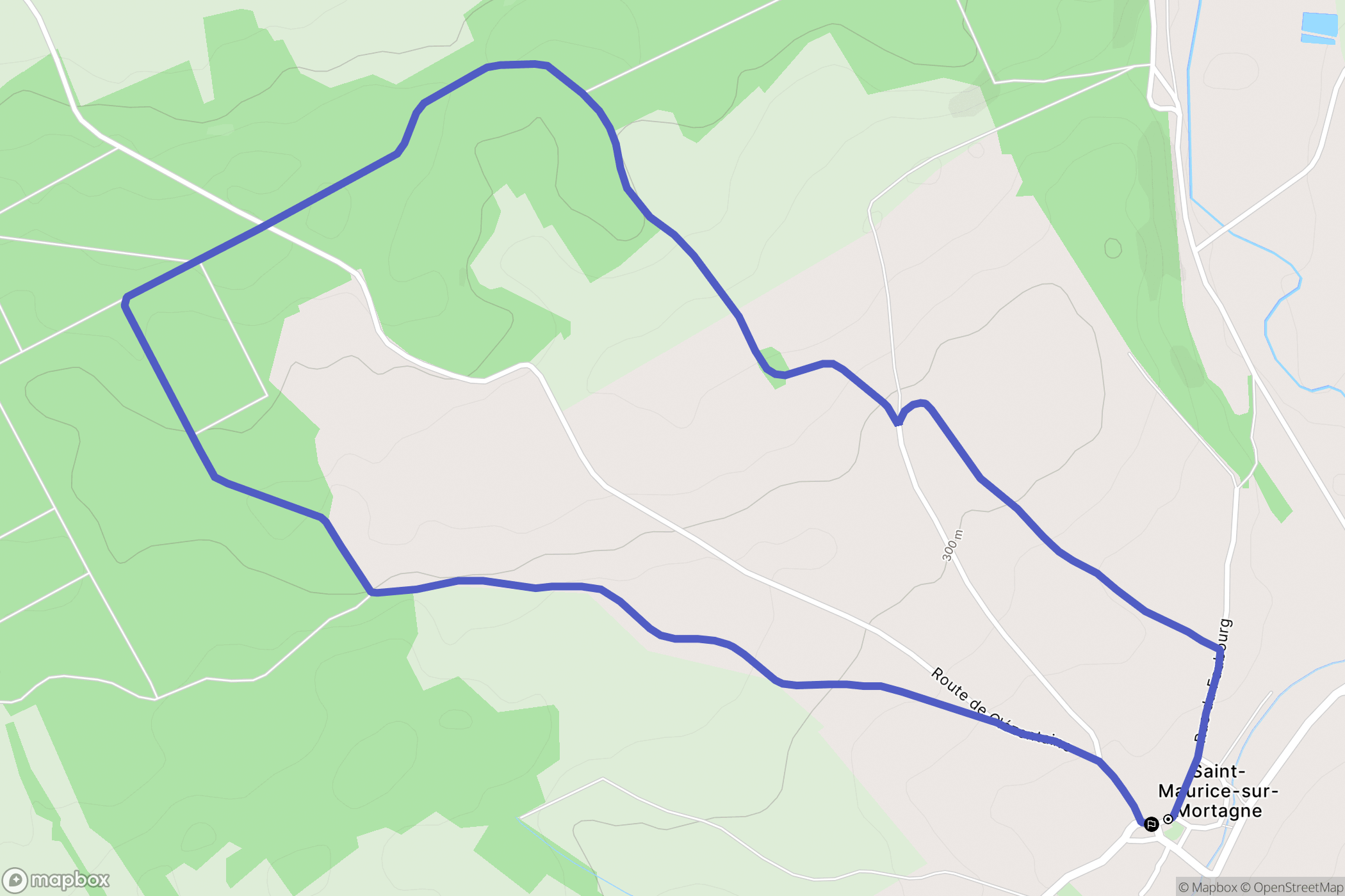Saint-Maurice-sur-Mortagne : carte du parcours de randonnée - France