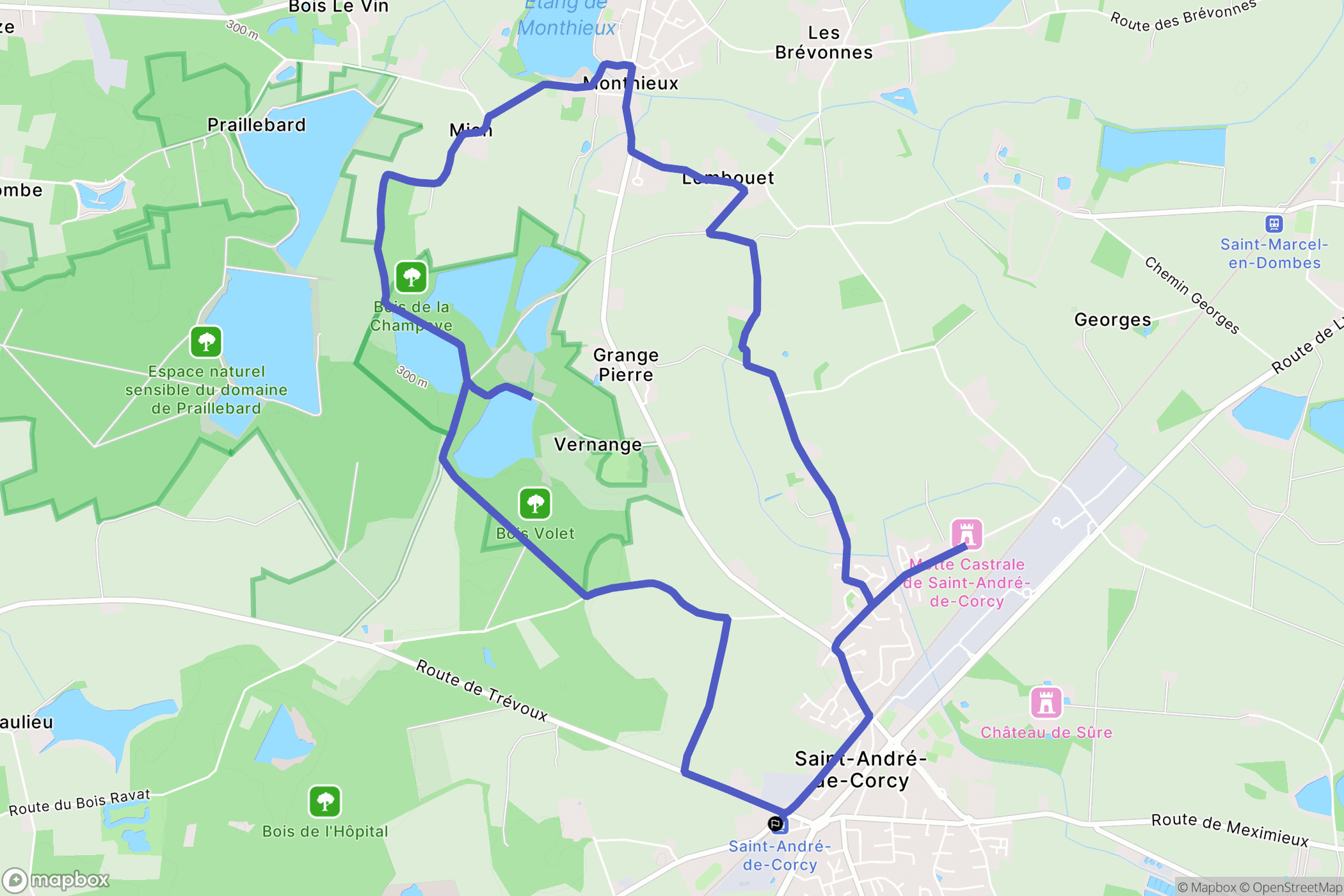 Saint-André-de-Corcy : carte du parcours de randonnée - France