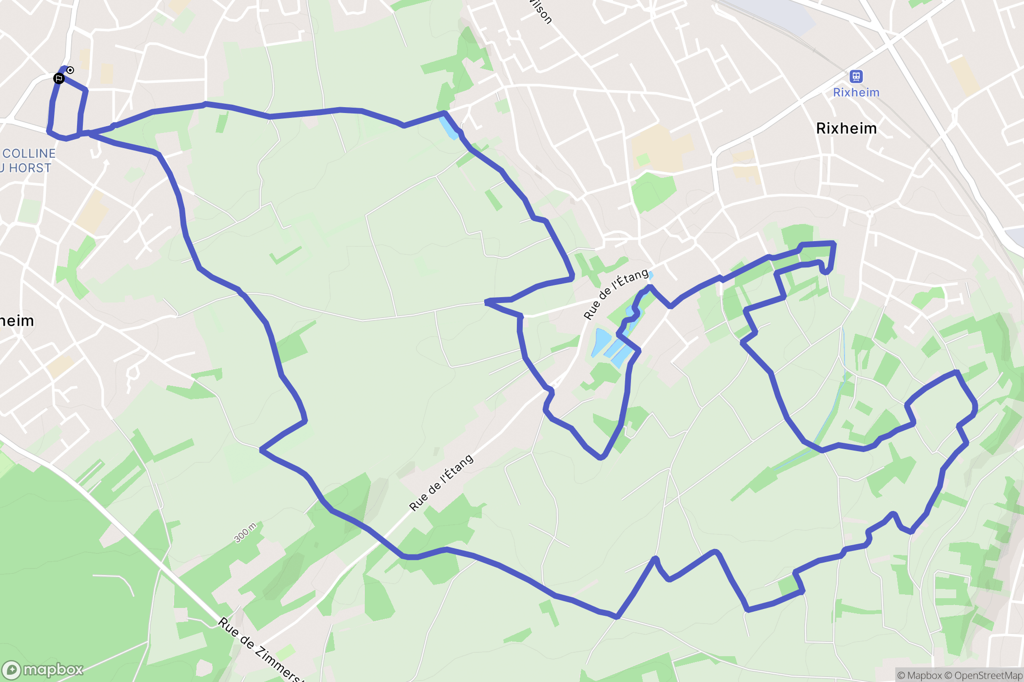 Riedisheim : carte du parcours de randonnée - France