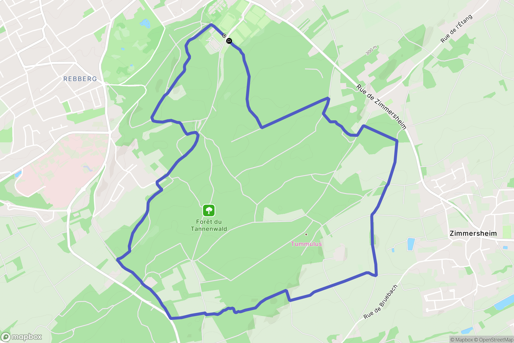 Riedisheim : carte du parcours de randonnée - France