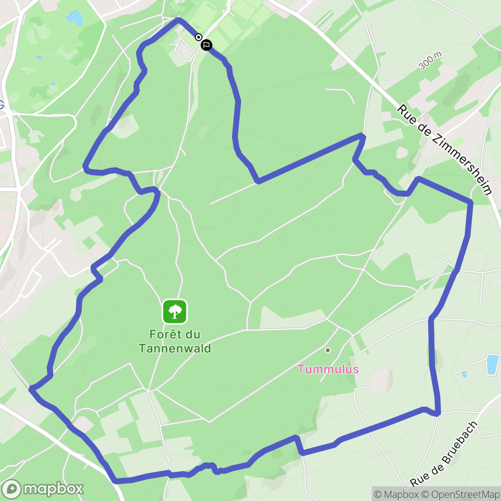 Riedisheim : carte du parcours de randonnée - France