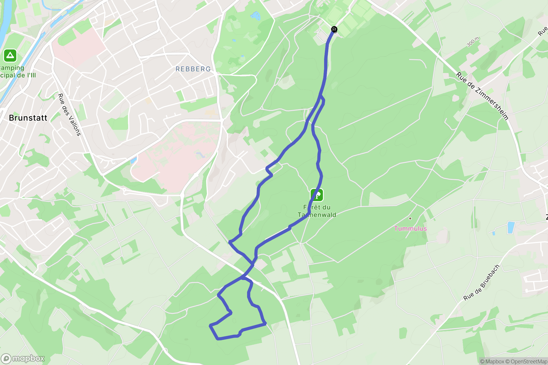 Riedisheim : carte du parcours de randonnée - France