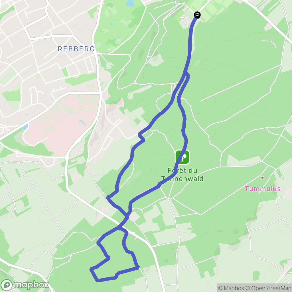 Riedisheim : carte du parcours de randonnée - France