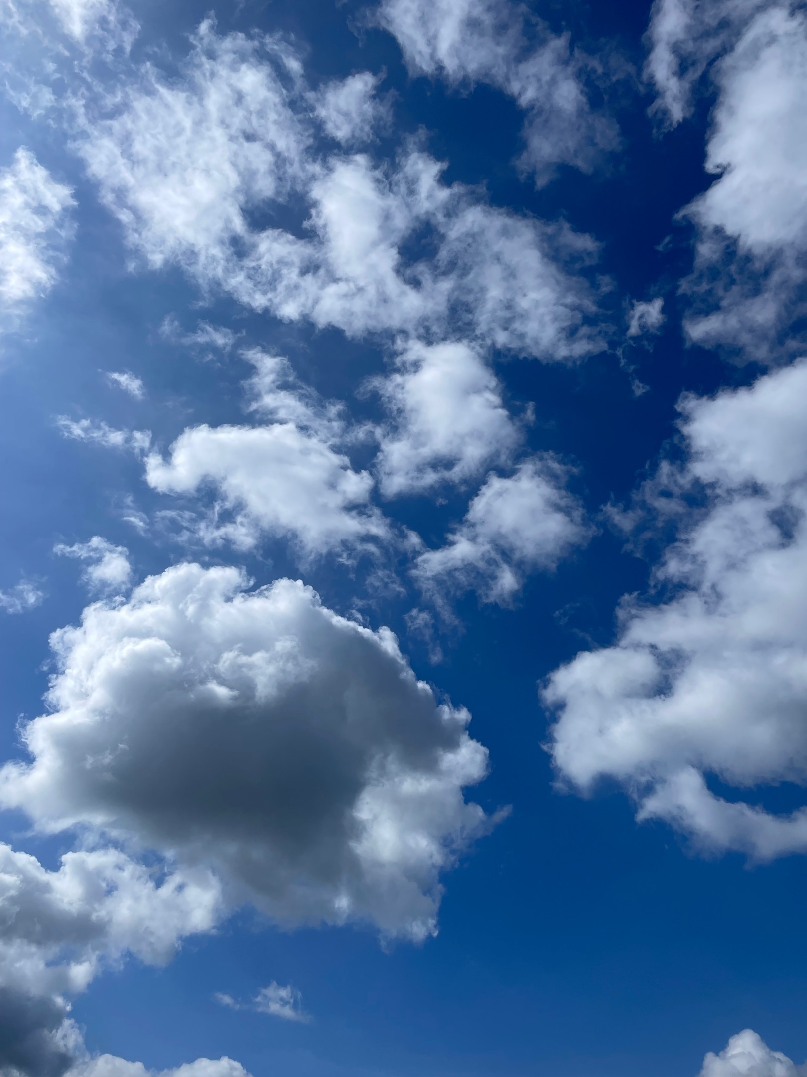 Mentions Légales — MD Studio Design Interieur, image size:1620x2160