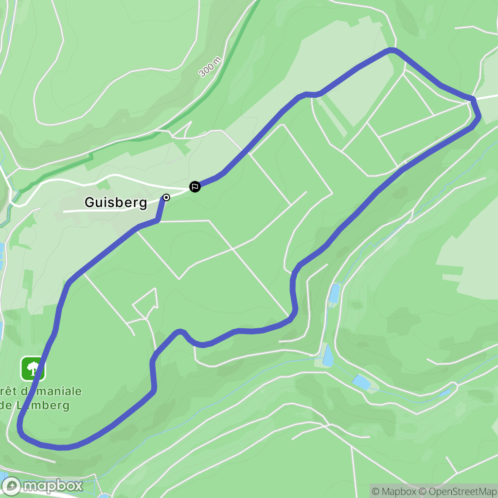 Enchenberg : carte du parcours de randonnée - France