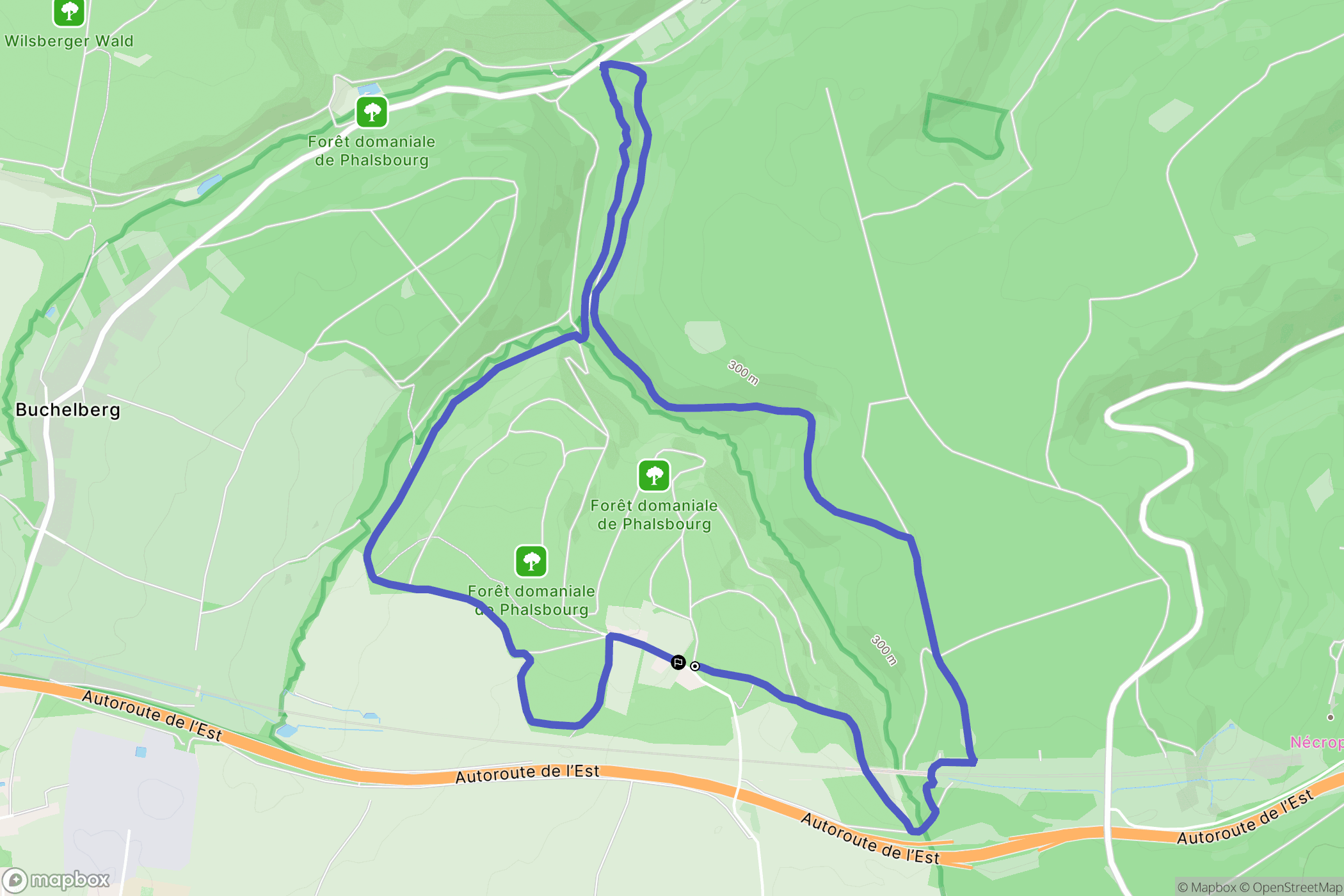 Danne-et-Quatre-Vents : carte du parcours de randonnée - France
