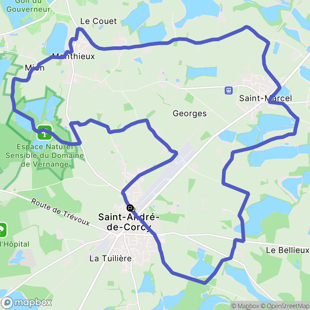 Saint-André-de-Corcy : carte du parcours de randonnée - France