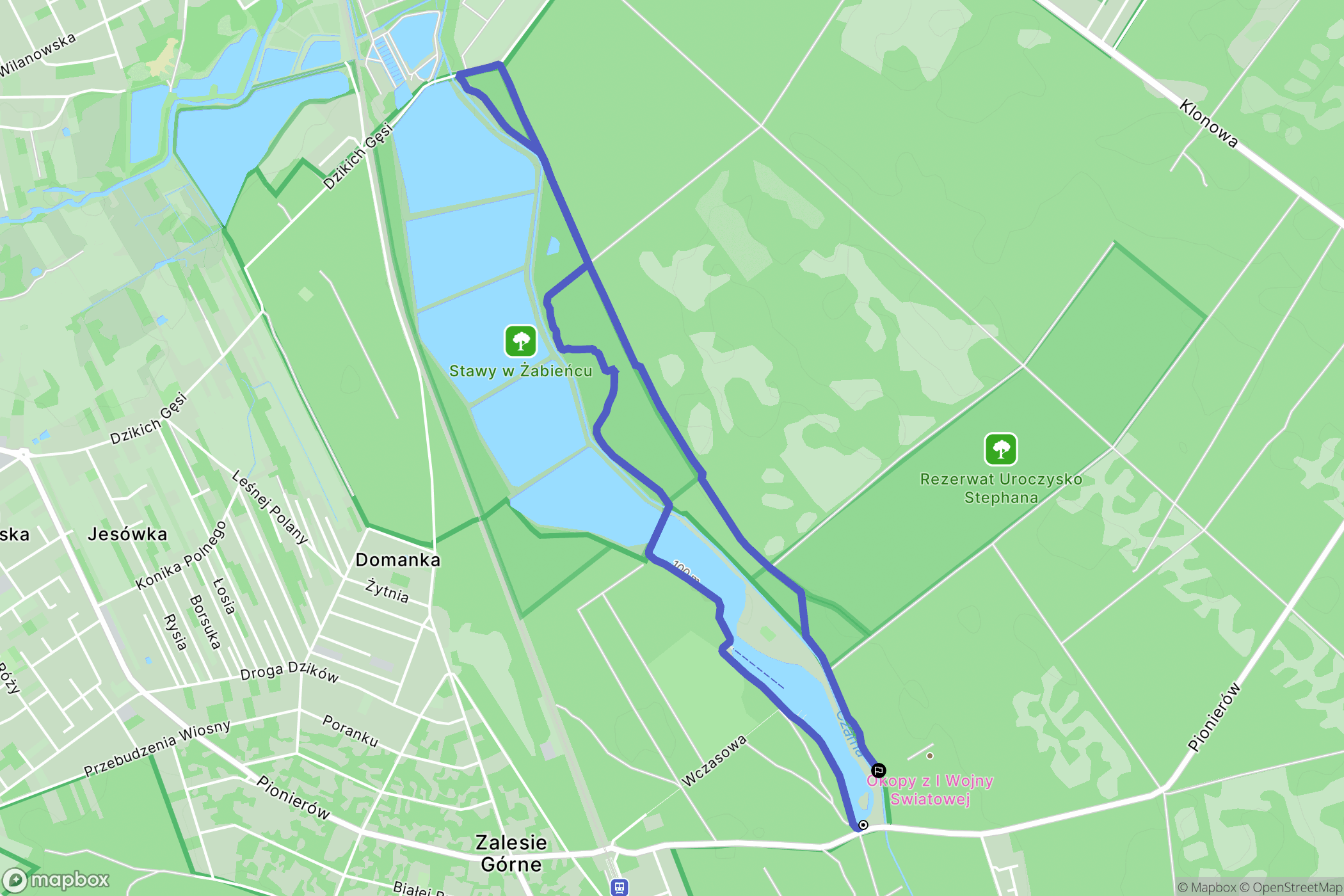 Zalesie Górne: mapa trasy - Poland