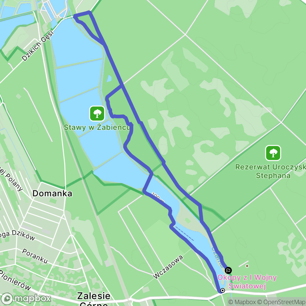 Zalesie Górne: mapa trasy - Poland
