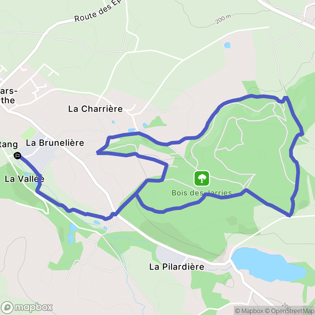 Saint-Mars-la-Réorthe : carte du parcours de randonnée - France
