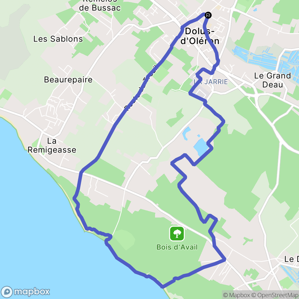 Dolus-d'Oléron : carte du parcours de randonnée - France