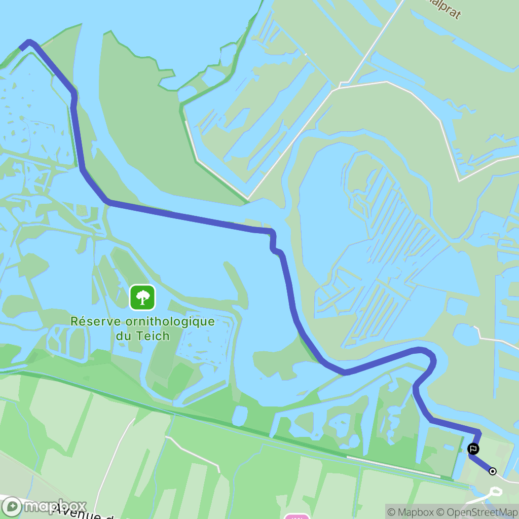 Le Teich: routekaart voor buitenactiviteiten - France