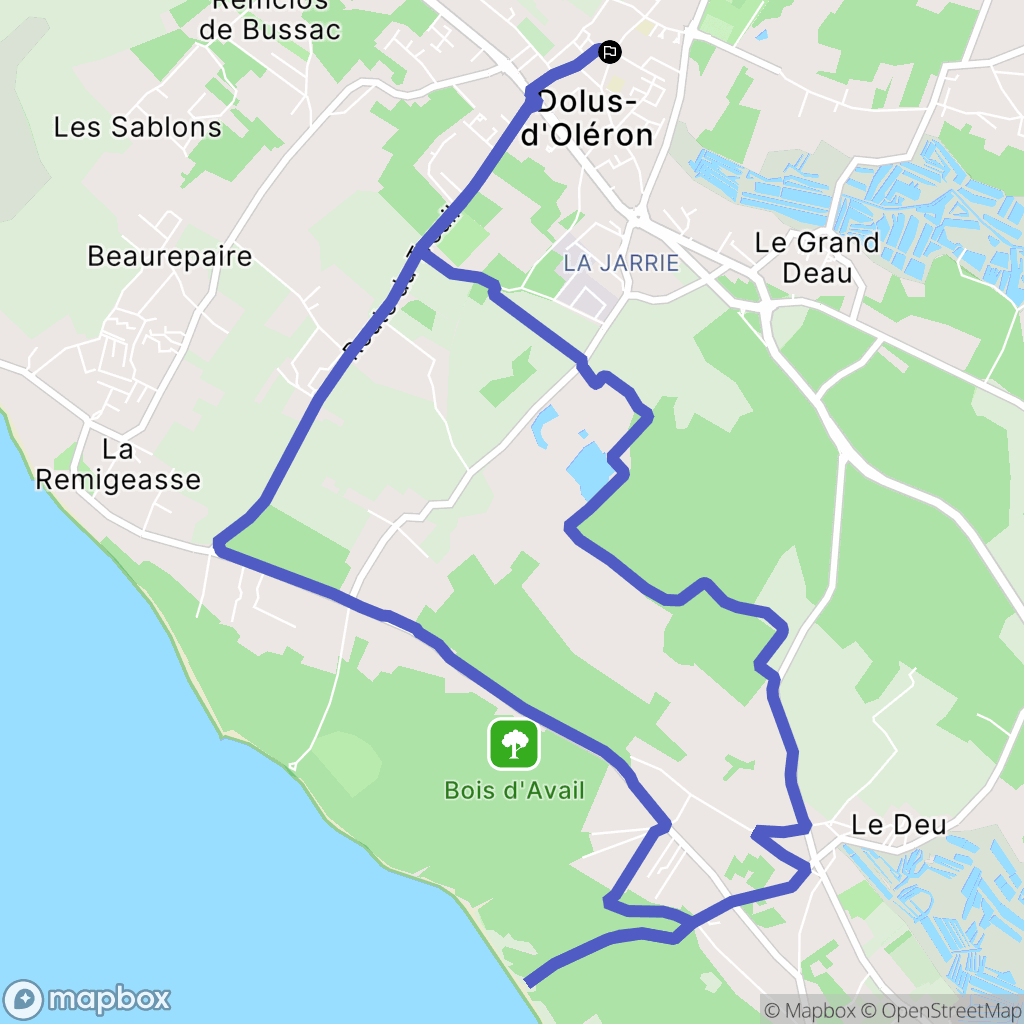 Dolus-d'Oléron : carte du parcours de randonnée - France