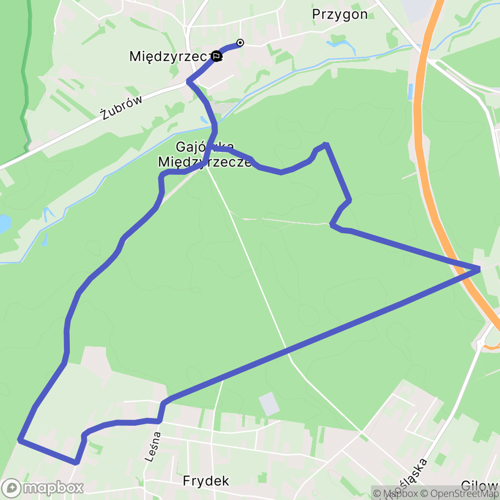 Międzyrzecze: mapa trasy - Poland