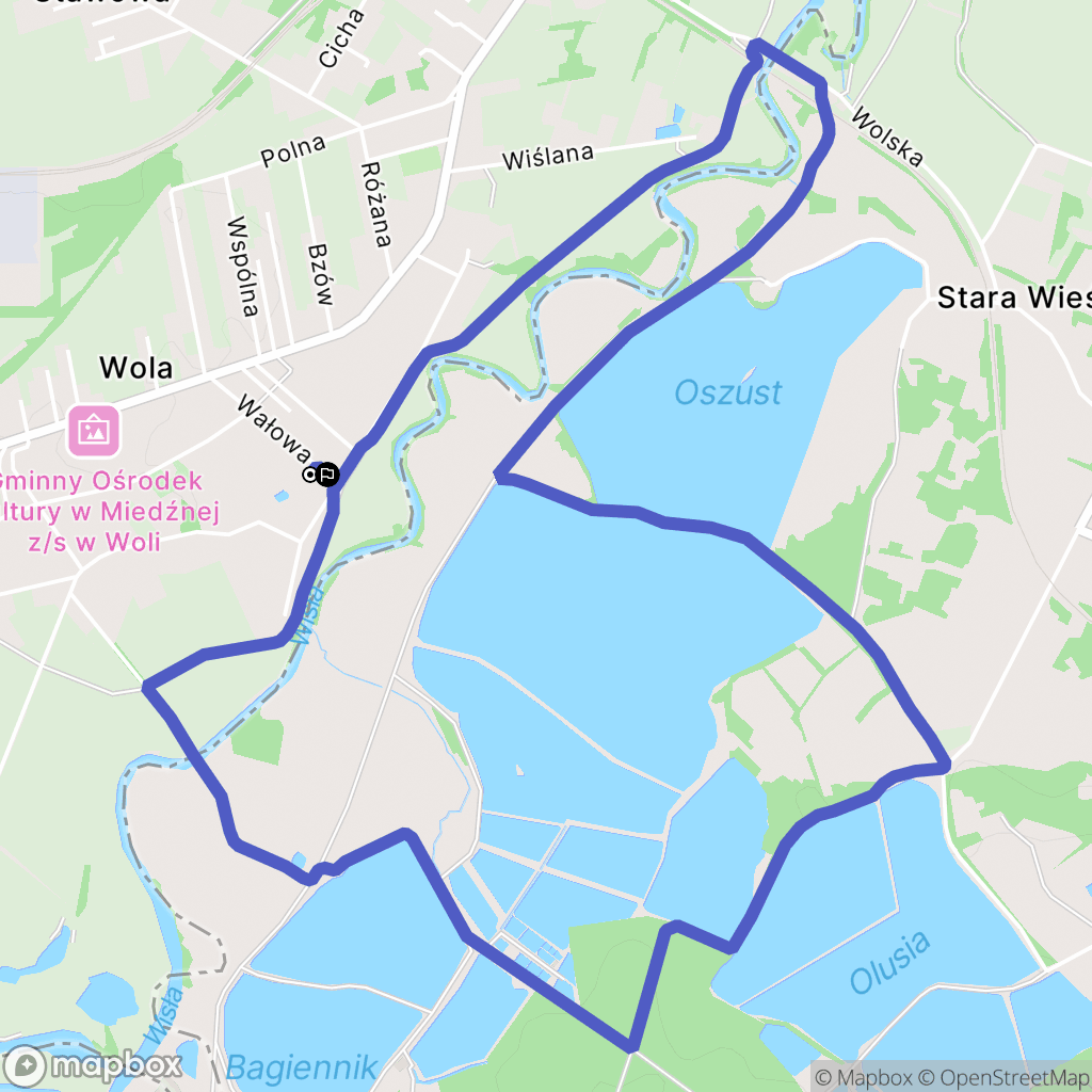 Wola: mapa trasy - Poland
