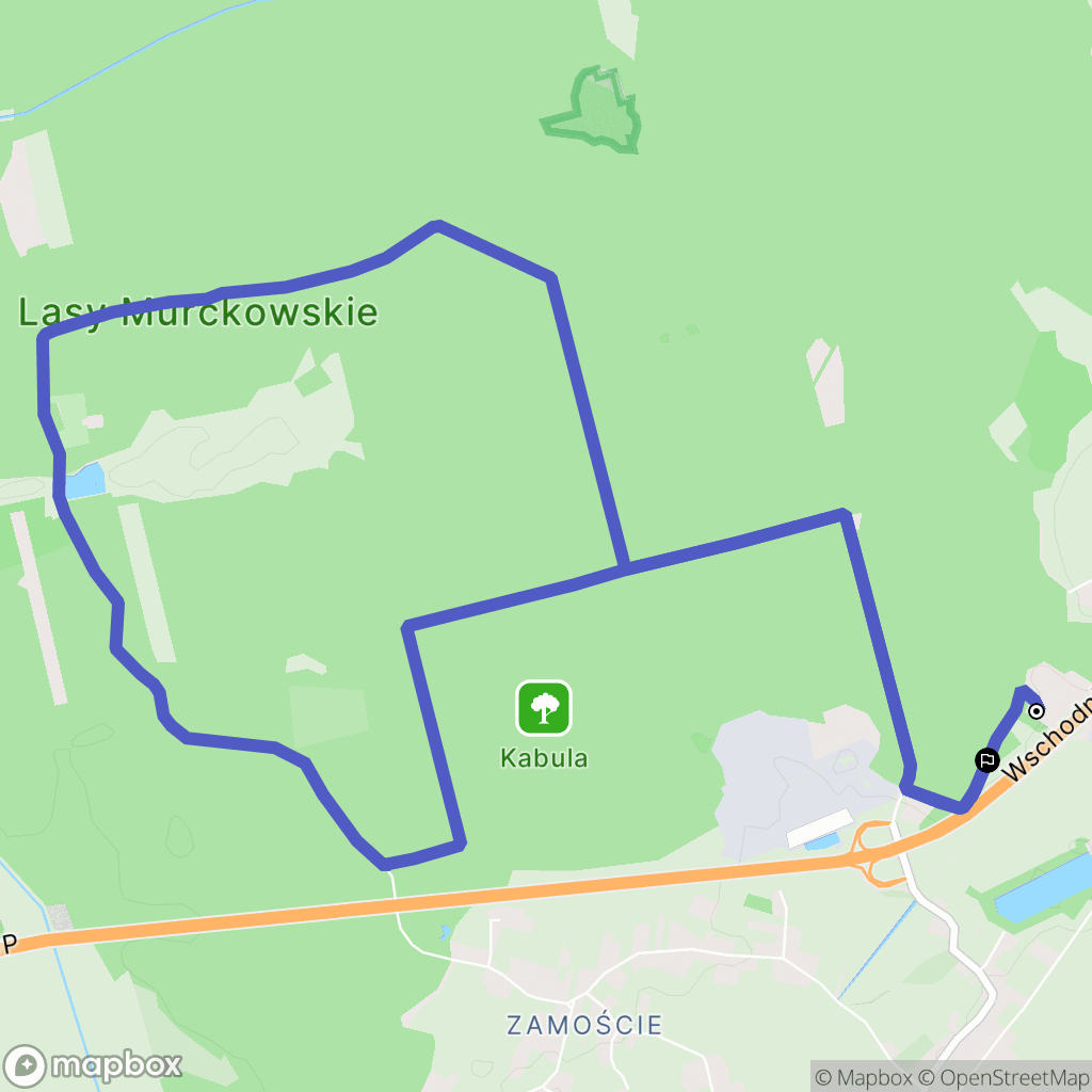 Lędziny: mapa trasy - Poland
