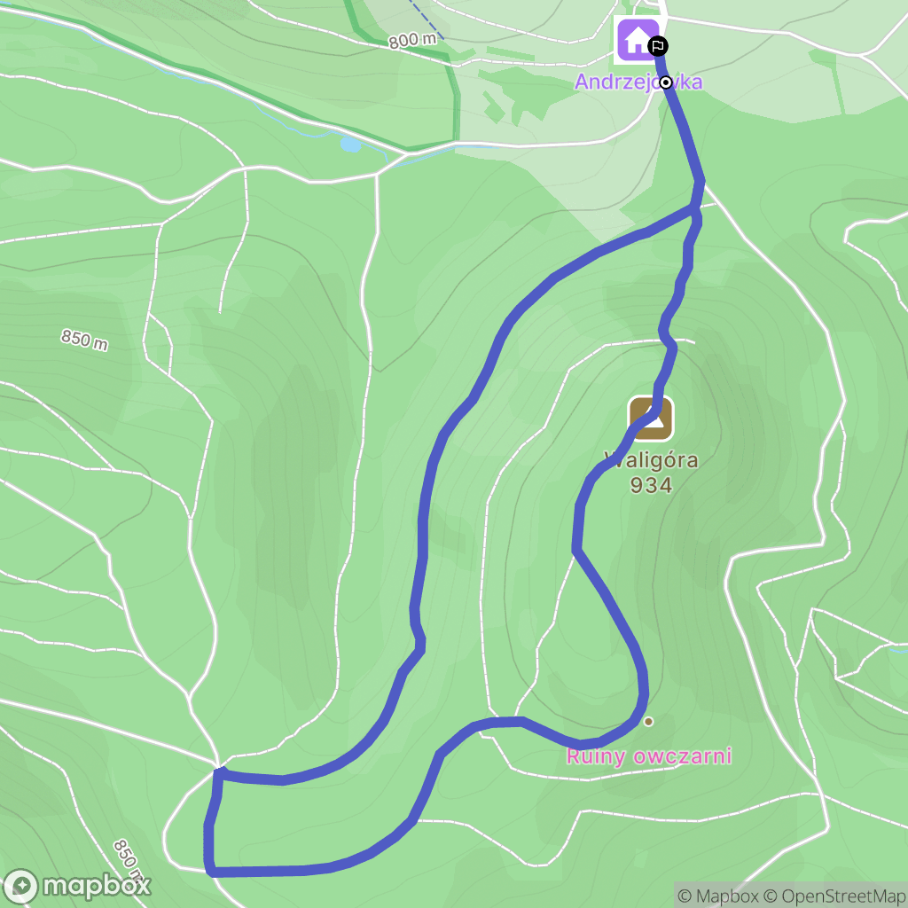 Rybnica Leśna: mapa trasy - Poland