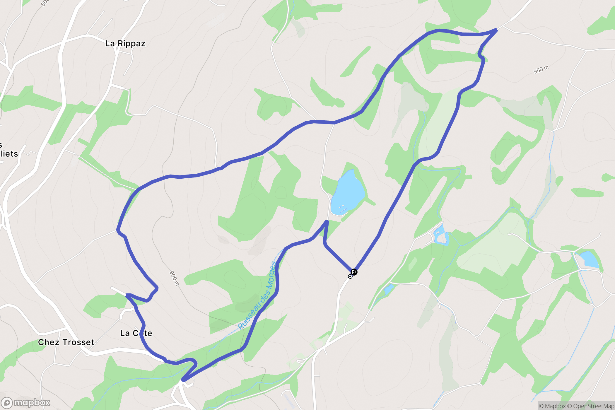 Menthonnex-en-Bornes : carte du parcours de randonnée - France