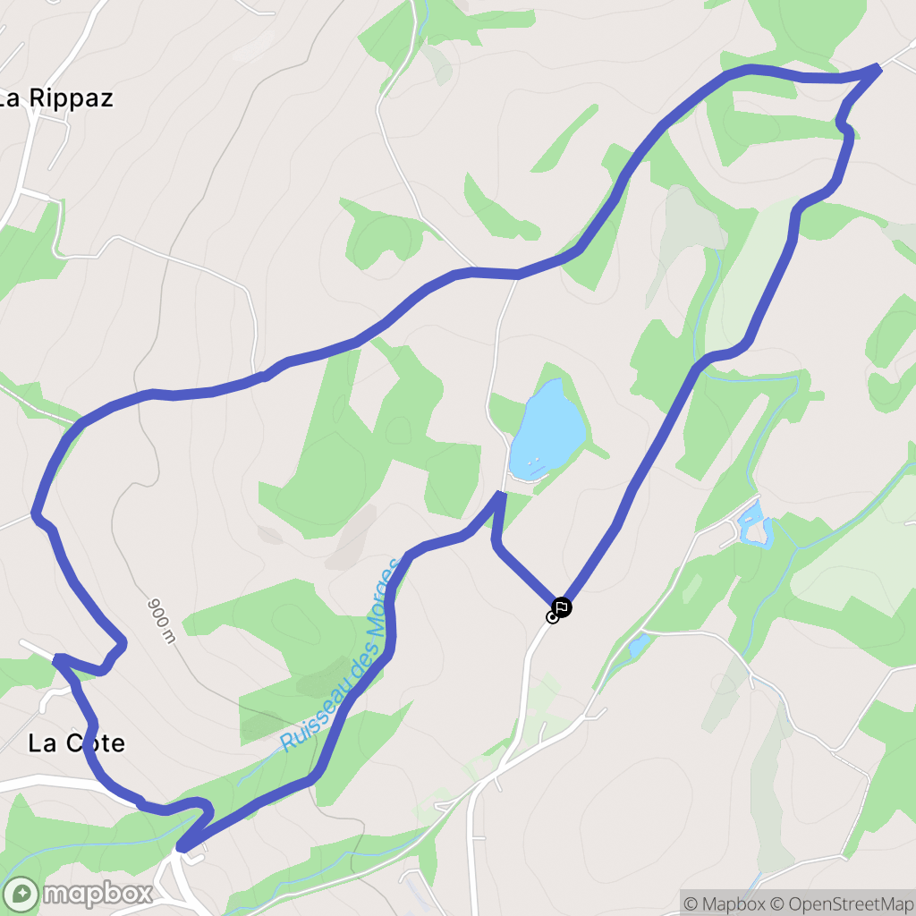 Menthonnex-en-Bornes : carte du parcours de randonnée - France