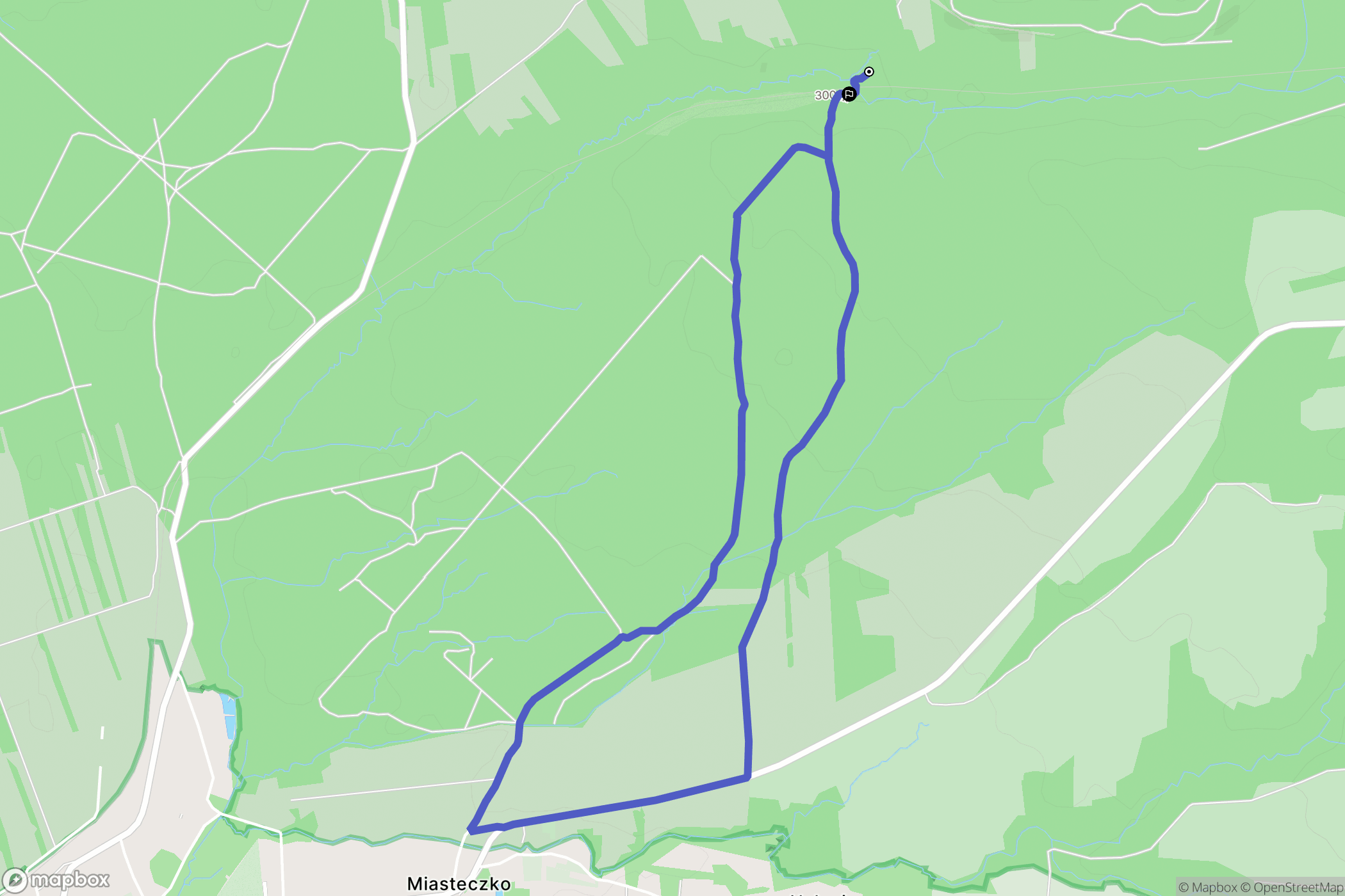 Horyniec-Zdrój: mapa trasy - Poland