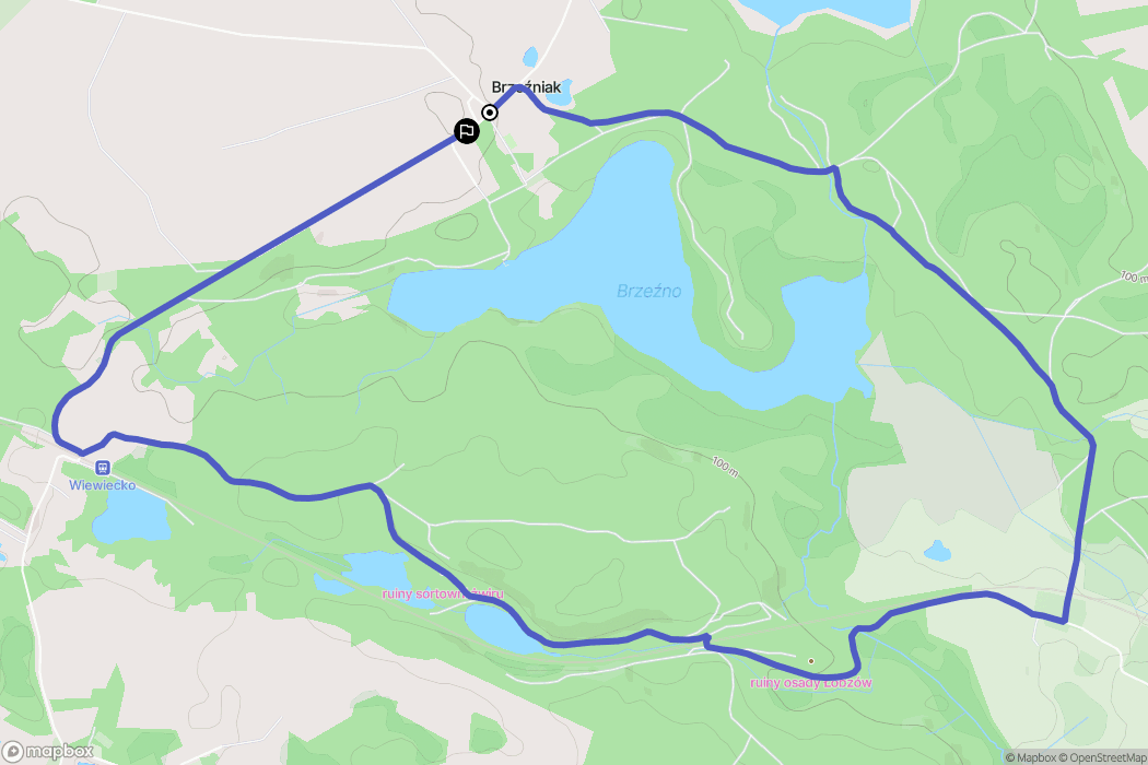 Brzeźniak: mapa trasy - Poland