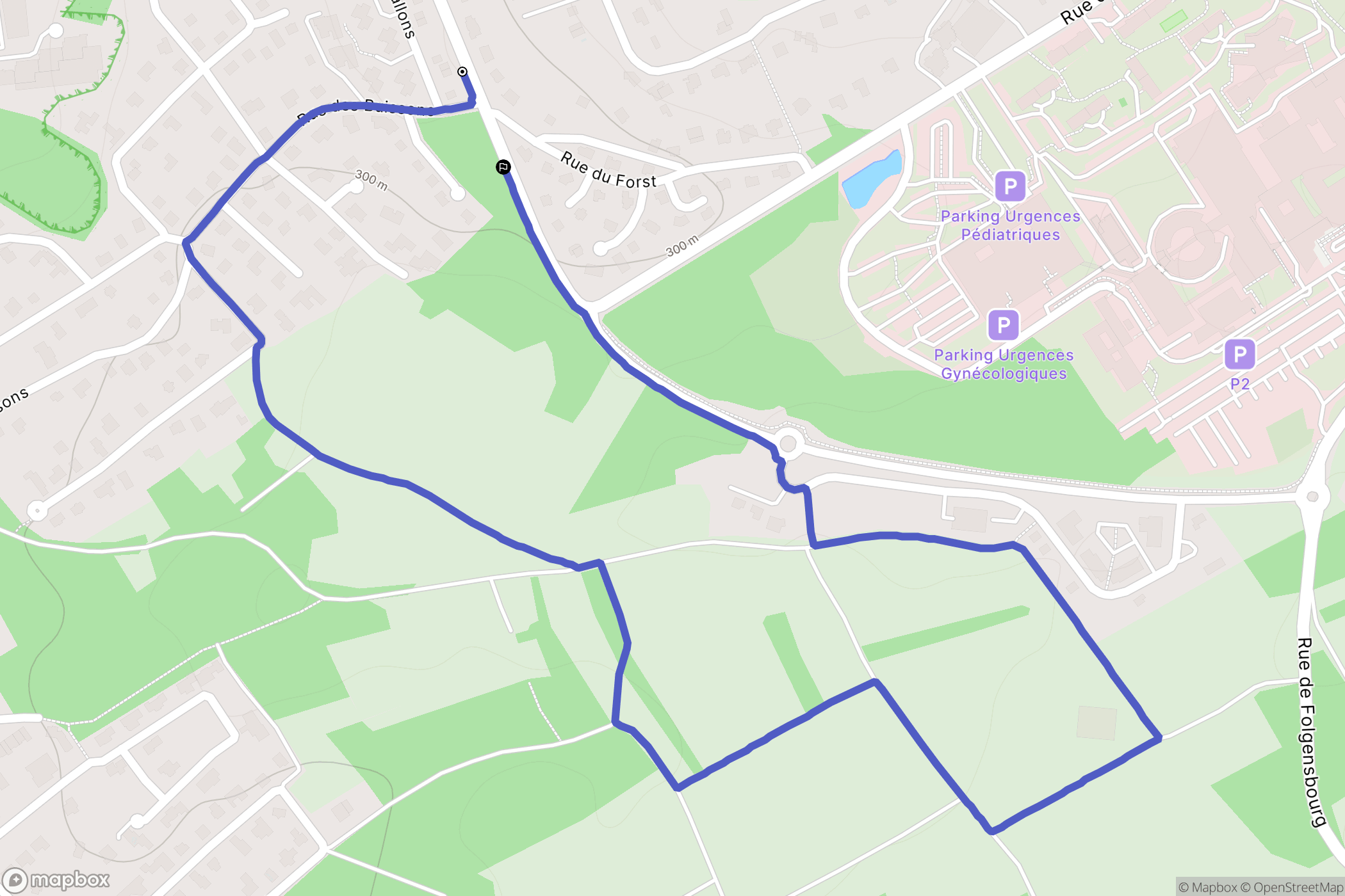 Brunstatt-Didenheim : carte du parcours de randonnée - France